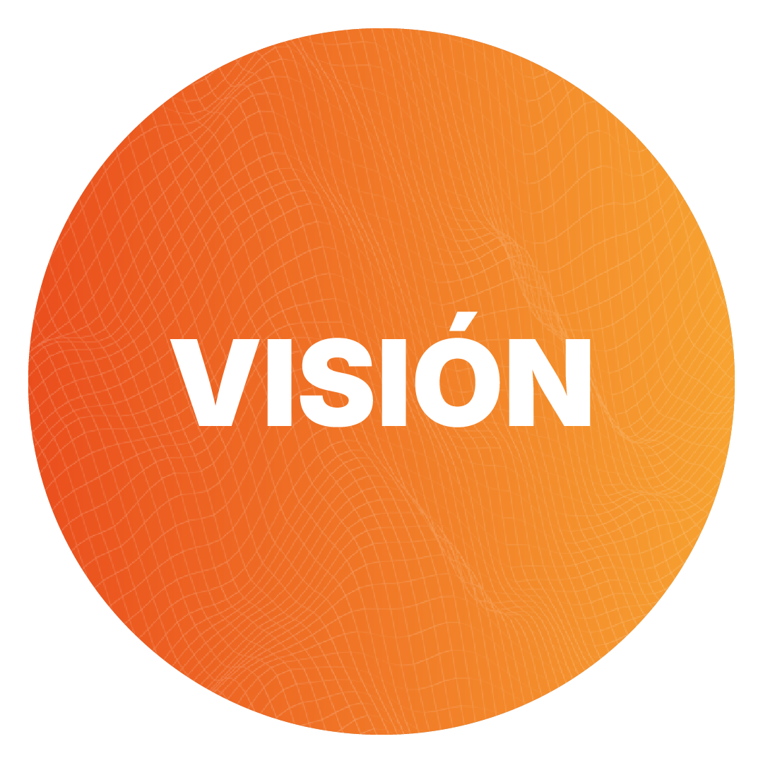 vision
